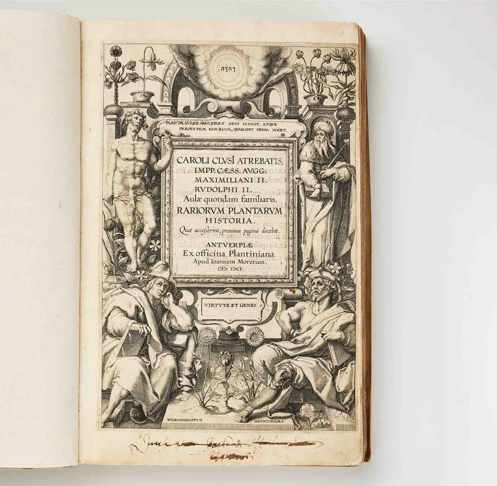 Rariorum plantarum historiae, Clusius, Antwerpen 1601