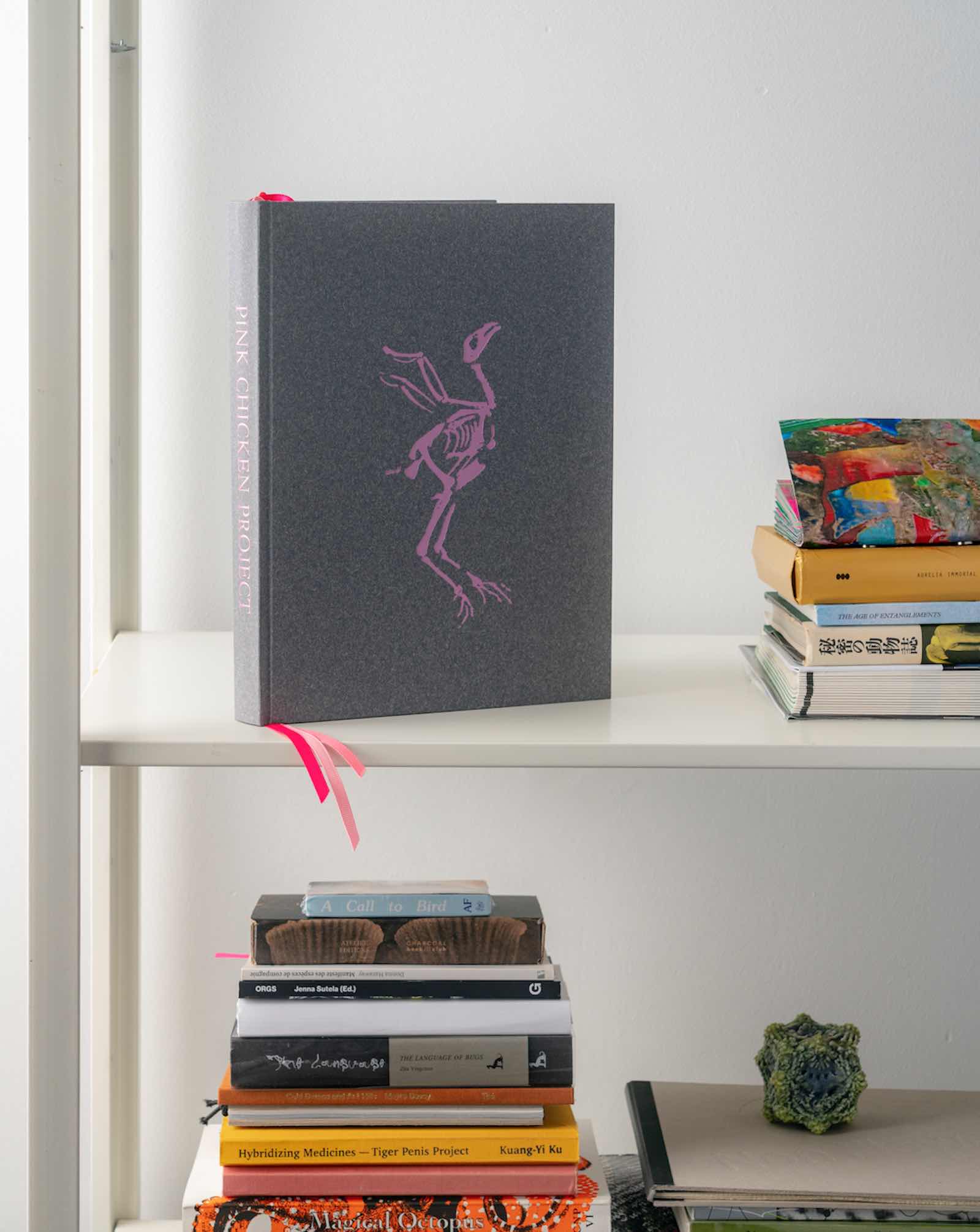 Pink Chicken Project by Nonhuman Nonsense