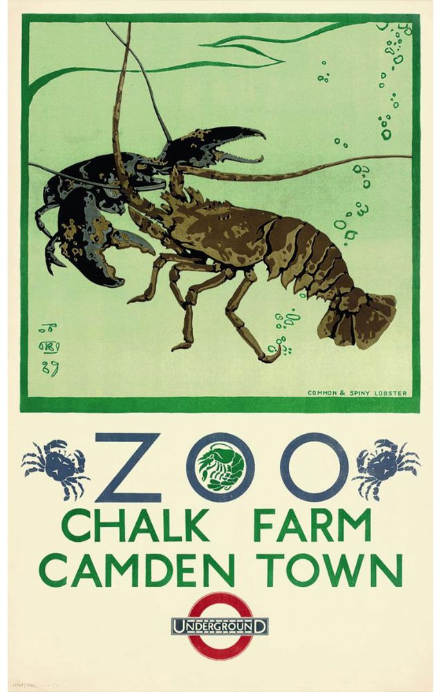 Richard Barrett Talbot Kelly (1897-1971), Zoo, Common &amp; Spiny Lobster