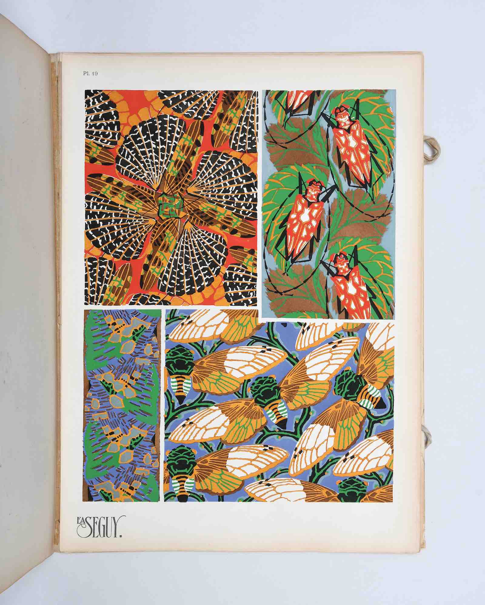 Insectes by Emile-Allain Seguy (1929)