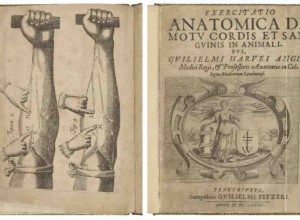 William Harvey's Exercitatio anatomica de motu cordis et sanguinis in animalibus