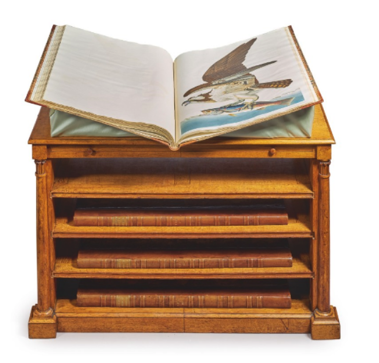 Audubon's "Birds of America"