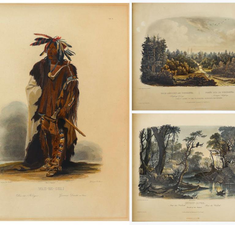 Bodmer illustrations